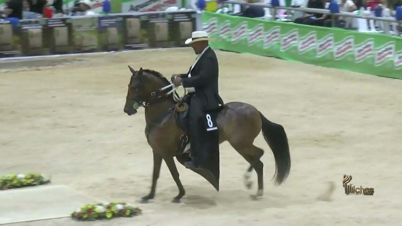 TURQUESA DE LA NENA, PRIMER PUESTO CAMPEONATO JOVEN TROTE Y GALOPE EXPO ARJONA GRADO B 2026