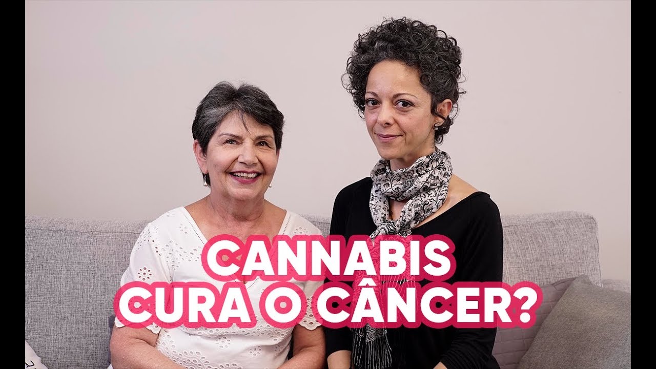 Cannabis medicinal cura o c&acirc;ncer?