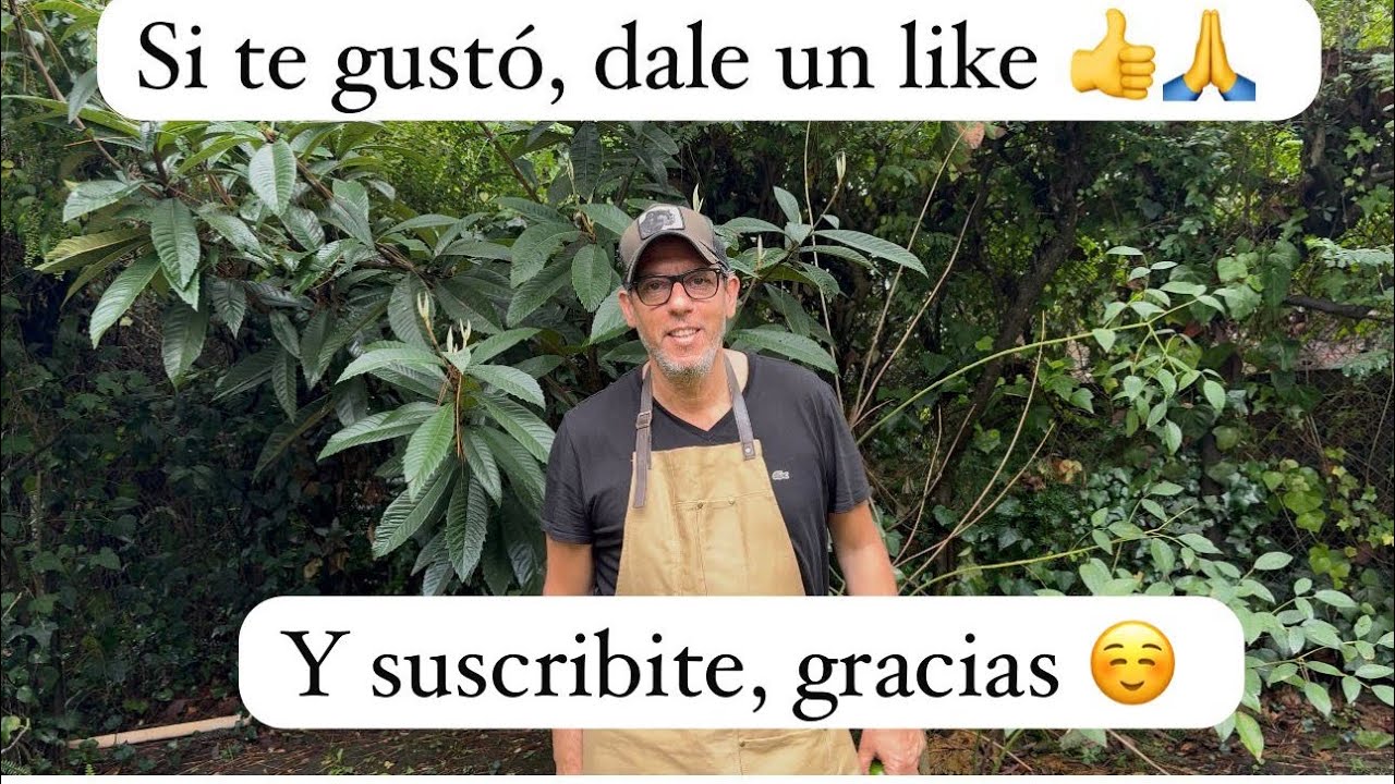 Cómo hacer Kippe, comida arabe ! 