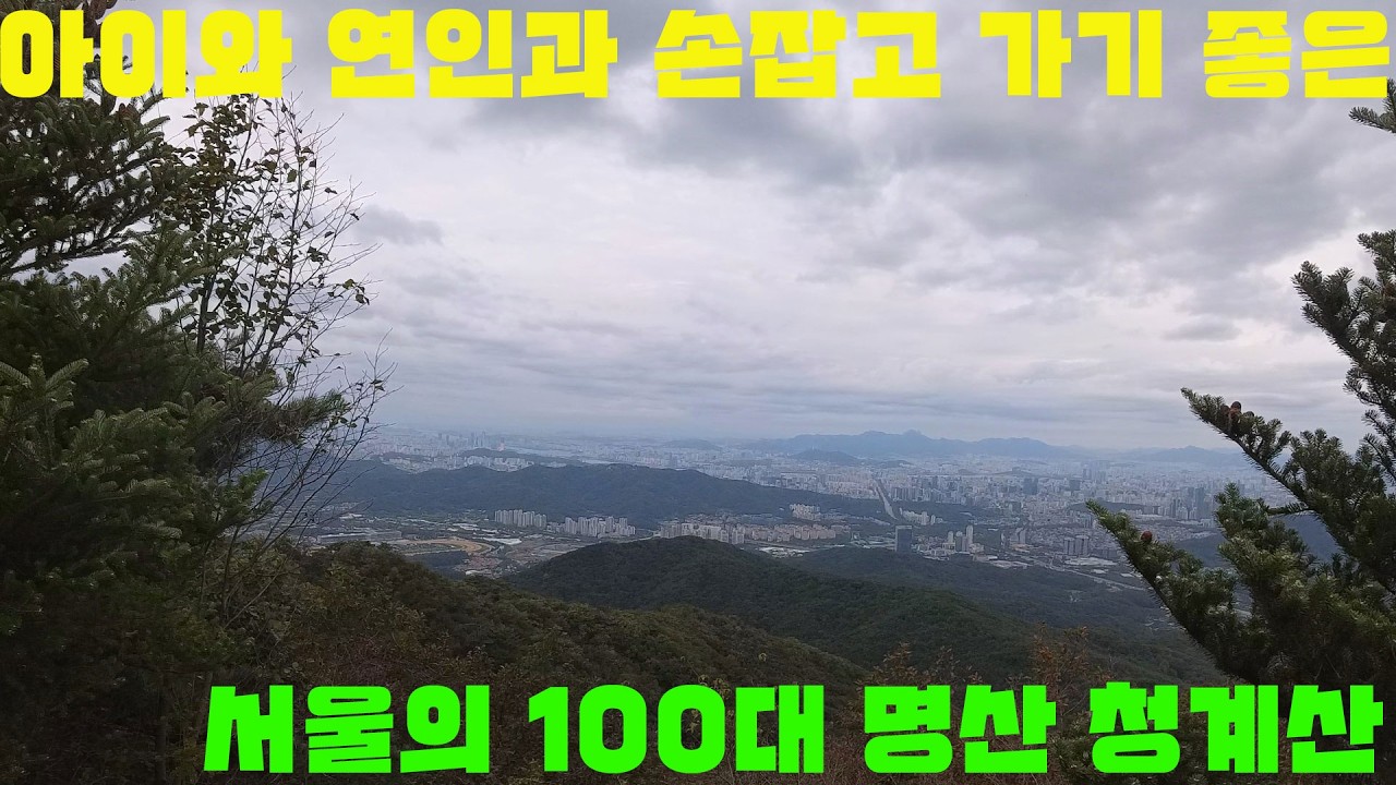 하체운동과 유산소를 동시에 할 수 있는 청계산 원터골 무한 계단 코스