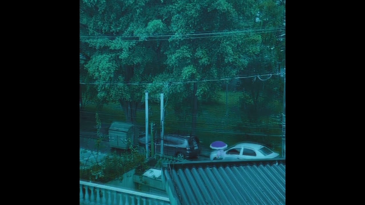 さすらい (Sasurai) // Hako Yamasaki