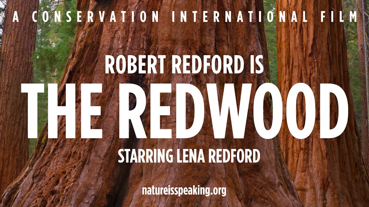 Nature Is Speaking &ndash; Robert Redford is The Redwood | Conservation International (CI)