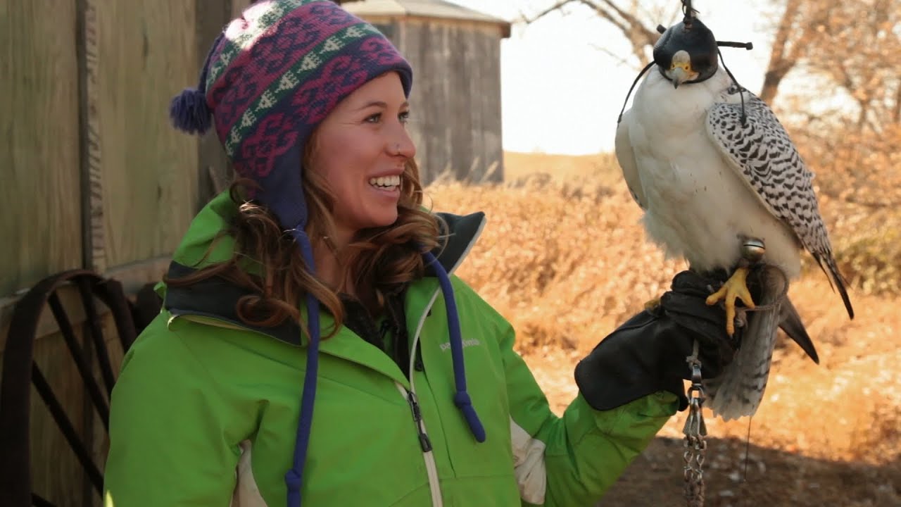 Hot On The Trail - Falconry