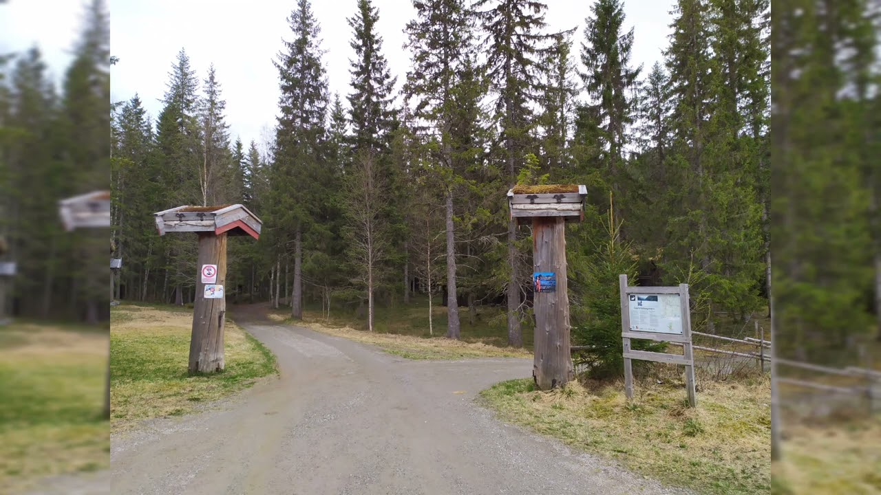 Прогулка к озеру в горах/ Музей под открытым небом в Trofors Норвегия