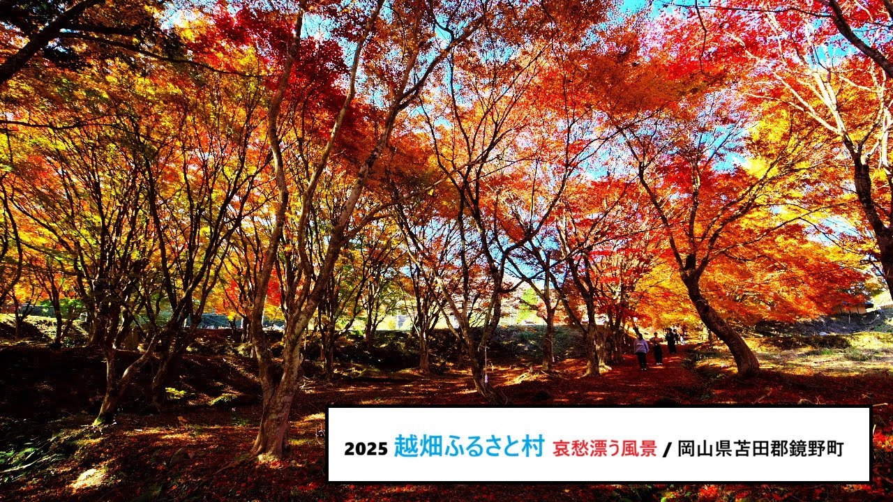 2025 越畑ふるさと村『 哀愁漂う風景』岡山県苫田郡