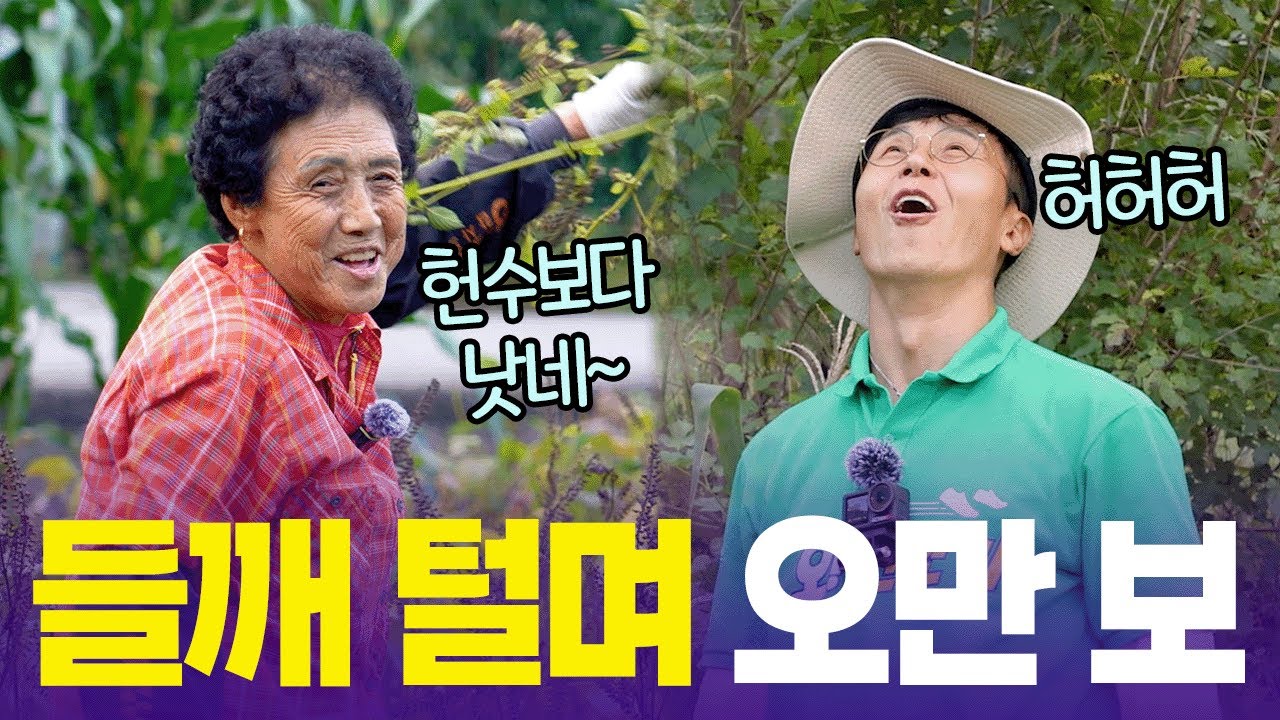 청년회장은 가라👋🏻오늘부터 충북 영동 최고의 일꾼은 만복이👊🏻 [6시 내고향] | KBS 251022 방송