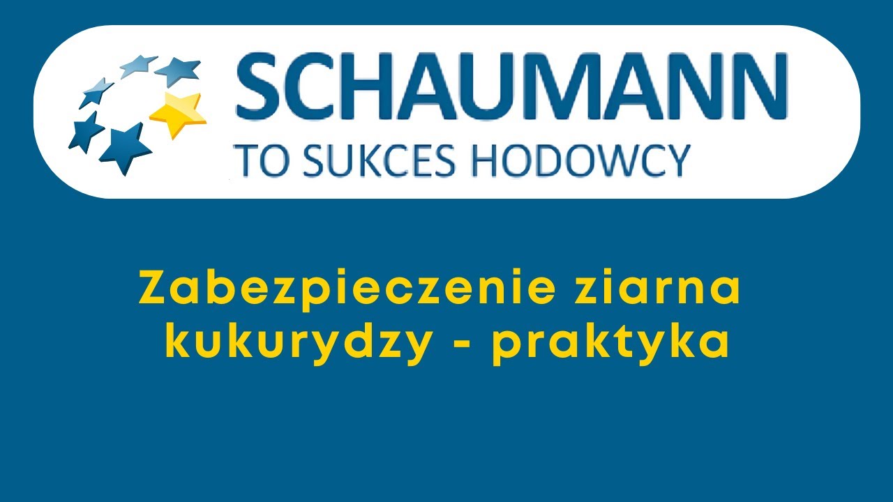 Zabezpieczenie ziarna z kukurydzy - PRAKTYKA