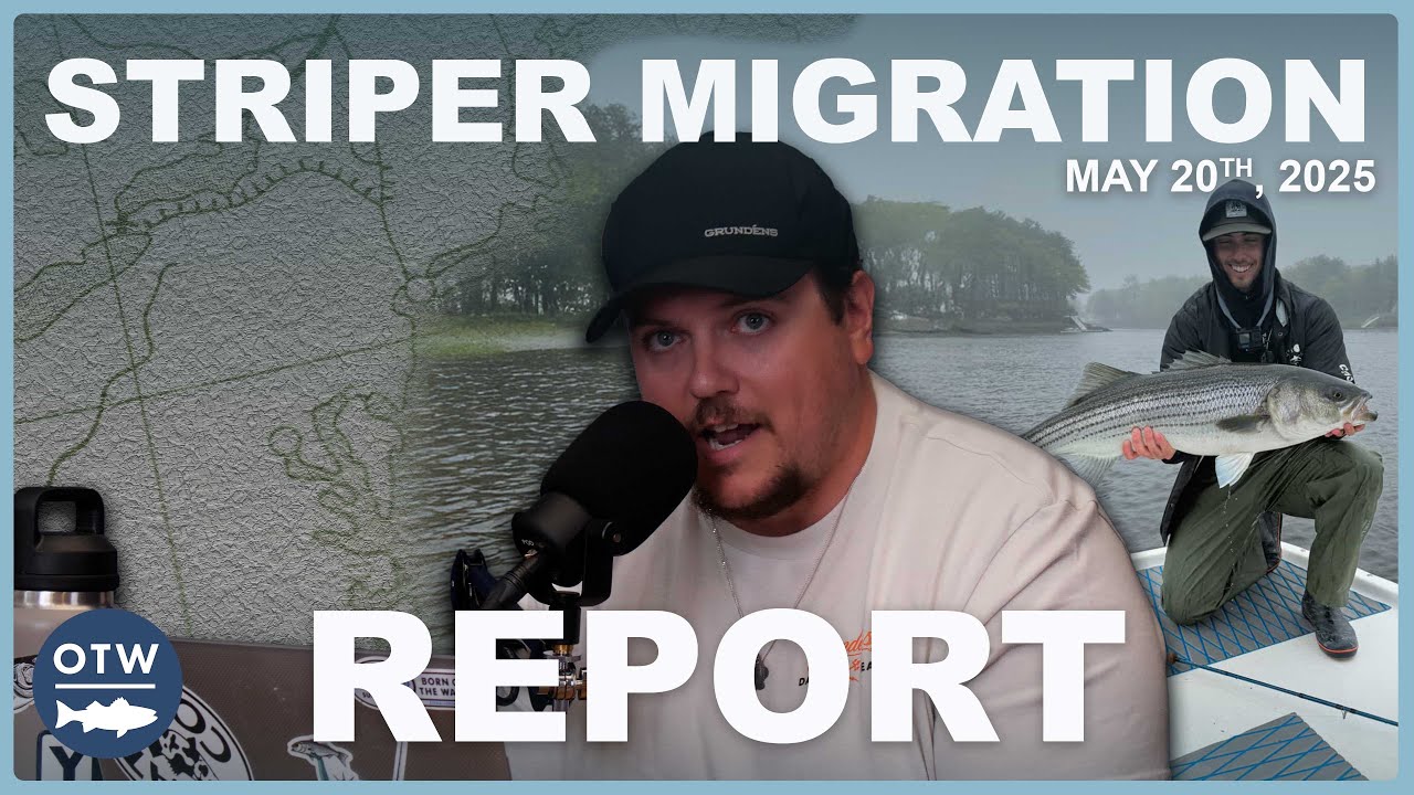 Striper Migration Report | May 20th 2025