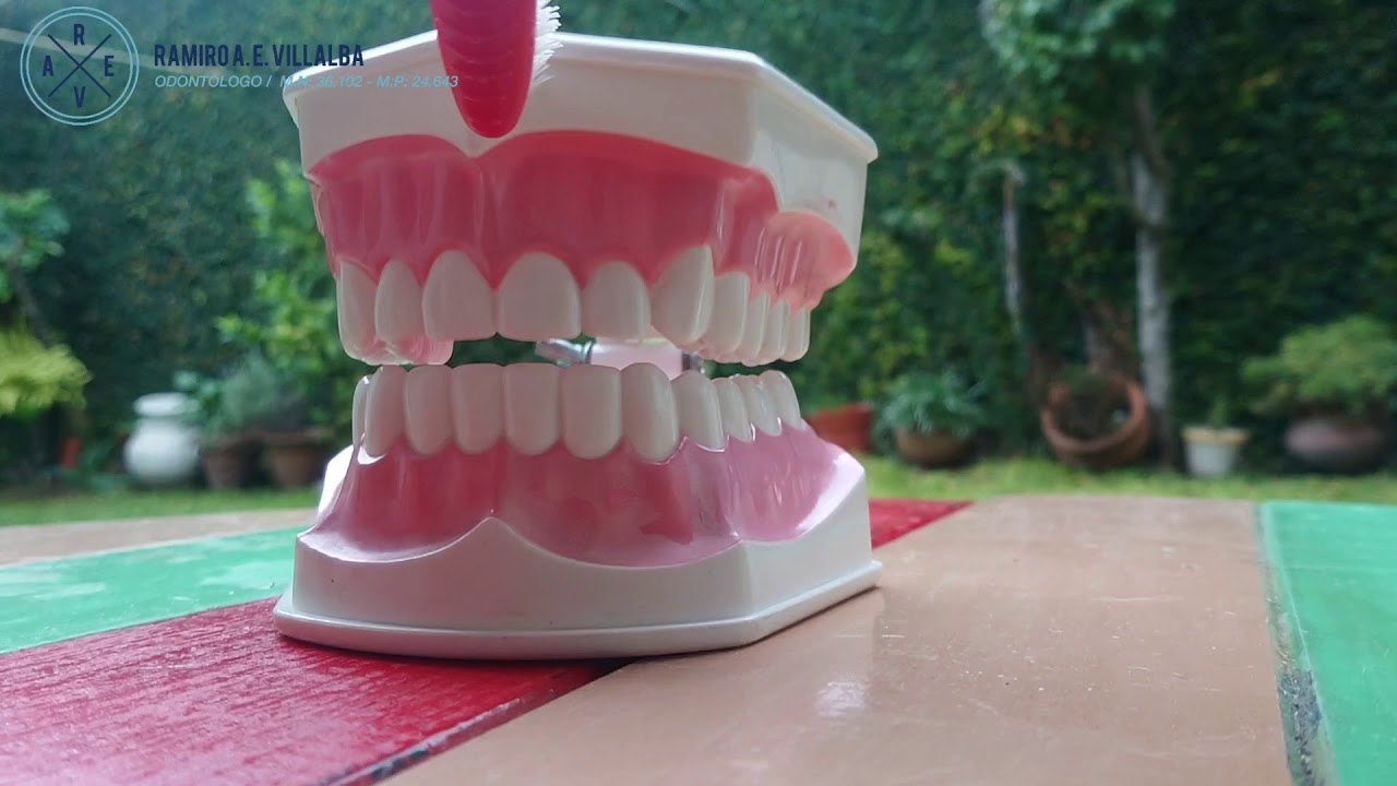 T&eacute;cnica de cepillado dental - Odont&oacute;logo Ramiro Villalba