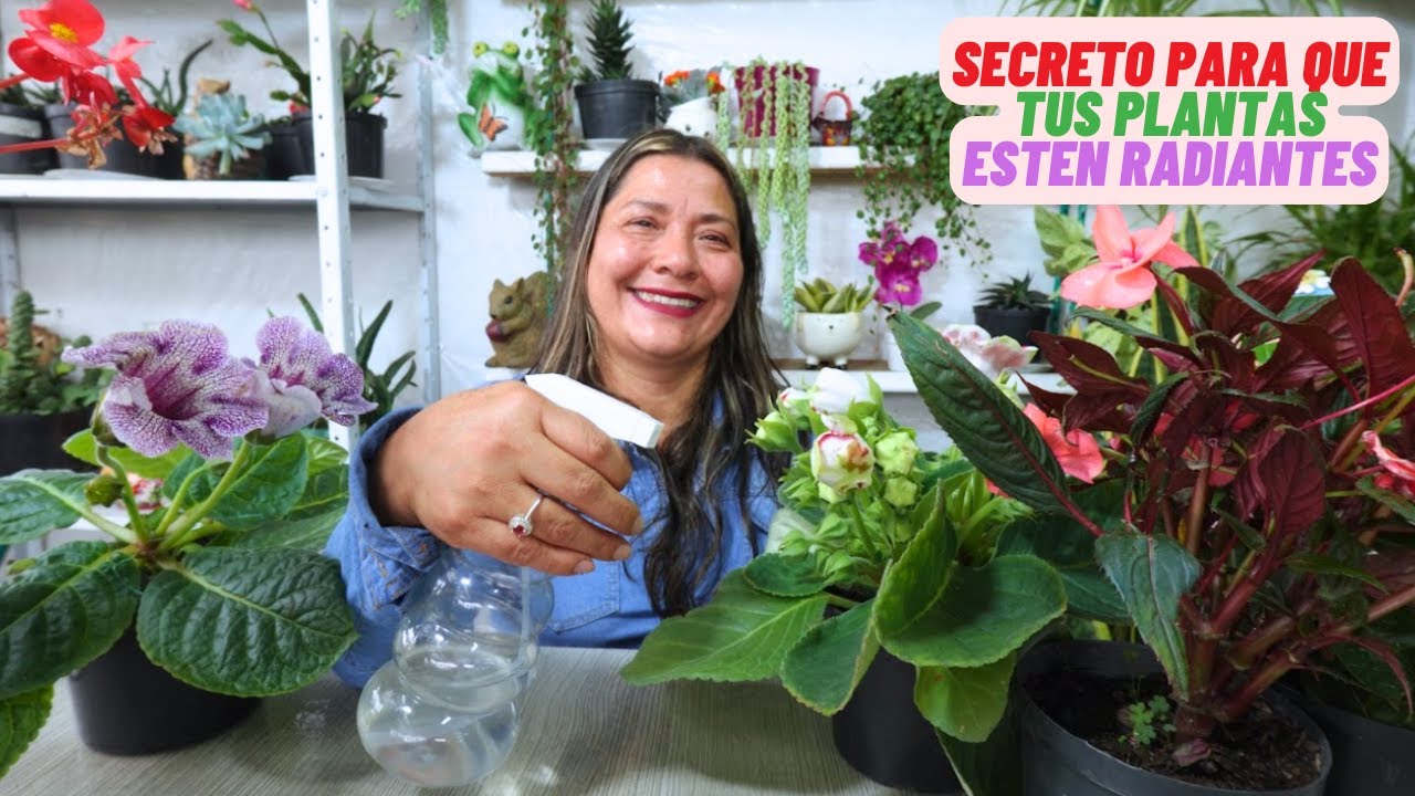 Beneficios de aplicar vinagre en tus plantas, no creerás los resultados #plantas #jardin
