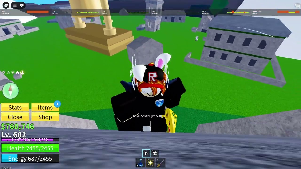 Playing bloxfruit