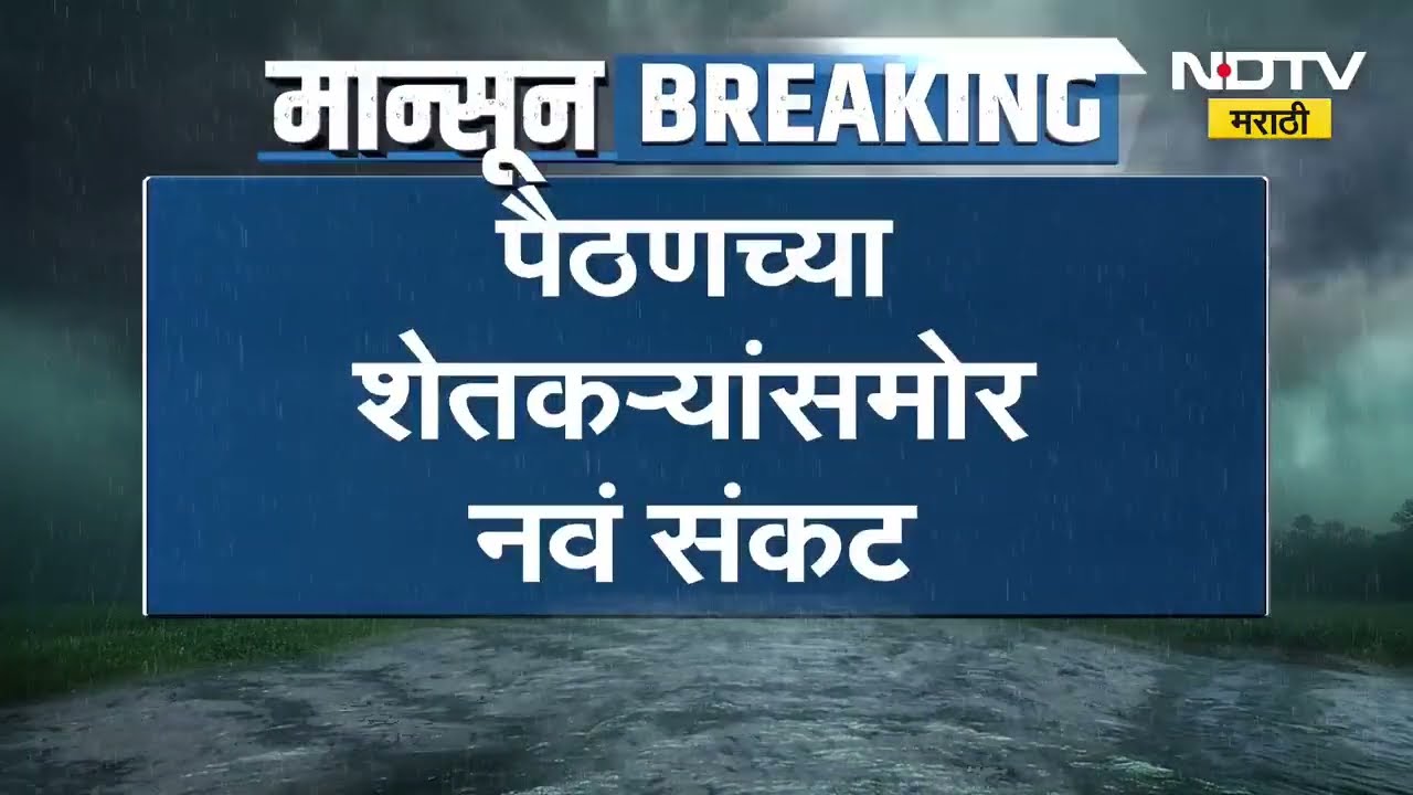 New crisis for Paithan । पैठणच्या शेतकऱ्यांसमोर नवीन संकट, डाळिंब बागेत 'तेल्या' रोगाचा प्रादुर्भाव