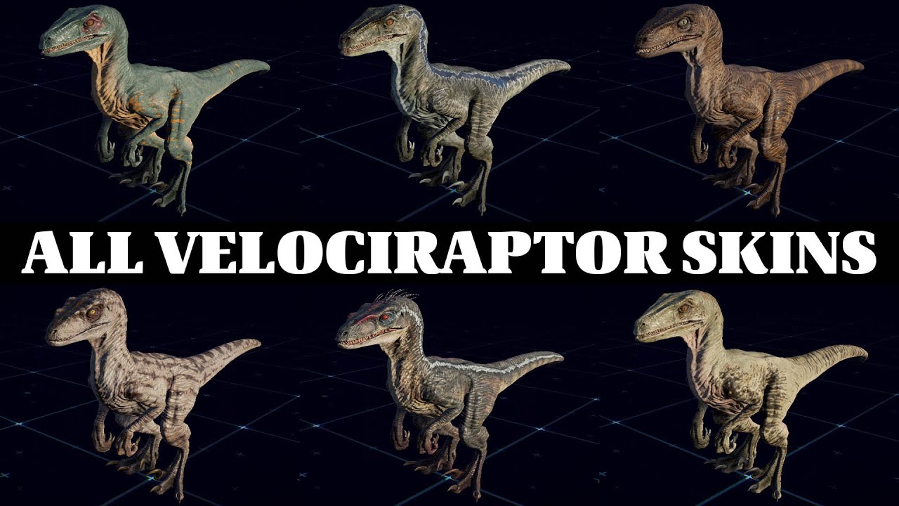 ALL VELOCIRAPTOR SKINS | JURASSIC WORLD EVOLUTION 2