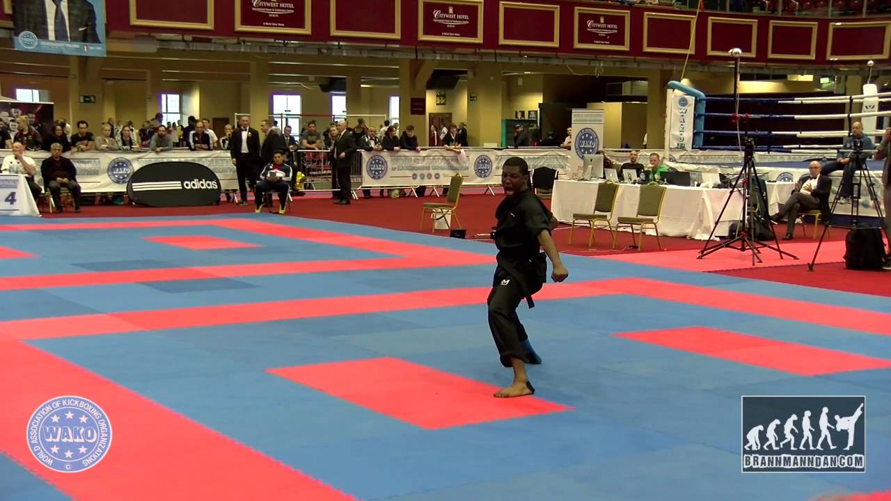 Kevin Cetout FRA WAKO World Championships 2015