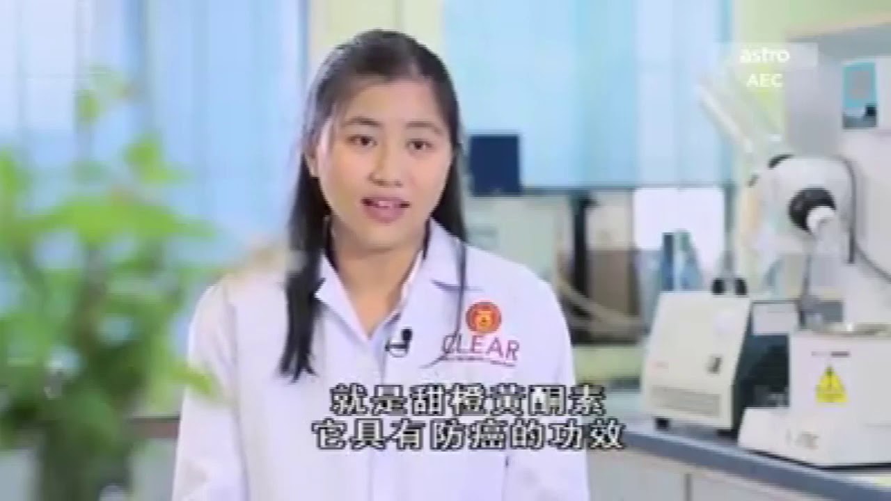馬來醫學證實貓鬚草功效