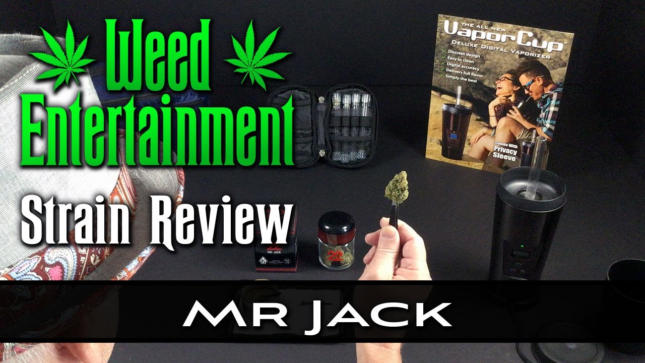 Mr. Jack - Sativa - by 22 Red - Strain Review - from Dr Greenthumbs, Sylmar Ca
