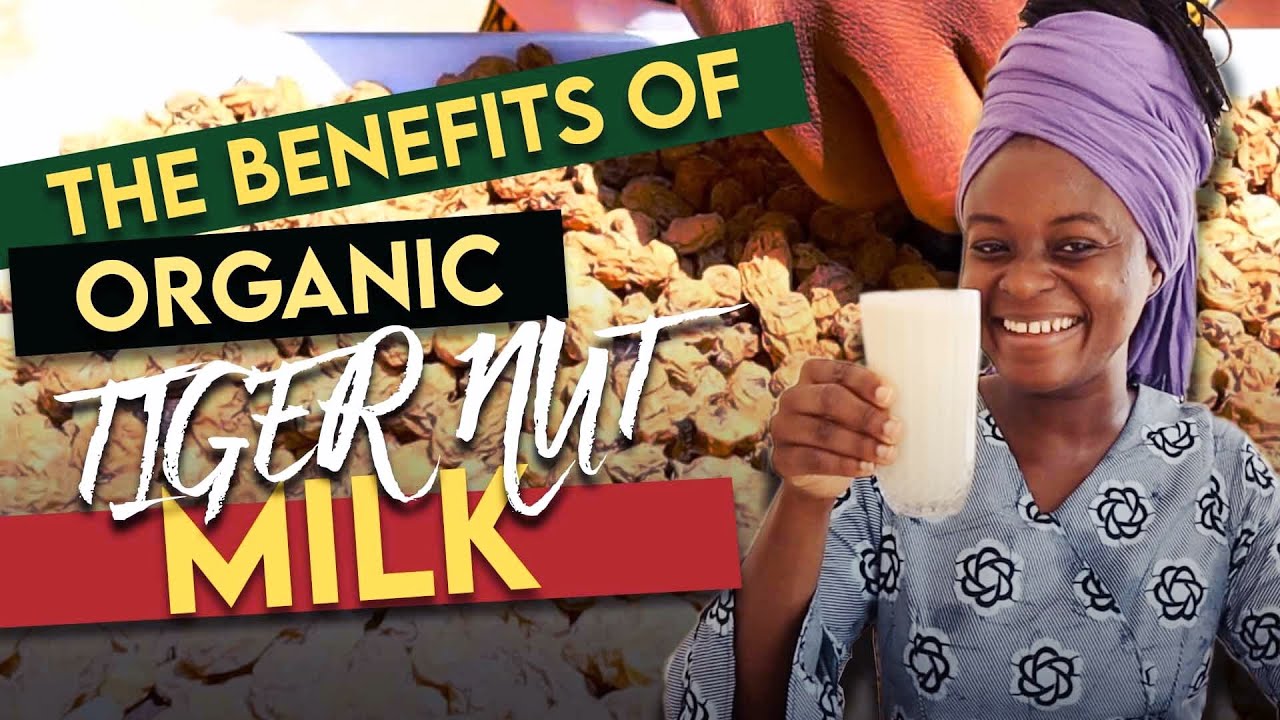 Benefits Of Tiger Nut And How To make Tiger Nut Milk
