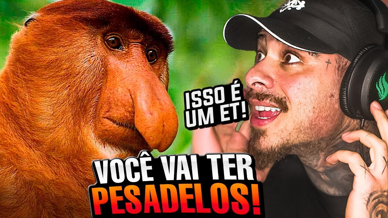 REAGINDO AOS ANIMAIS MAIS MONSTROS DO MUNDO! - LEO STRONDA