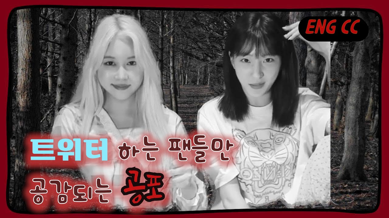 [ENG CC] 트위터 하는 팬들만 공감되는 공포