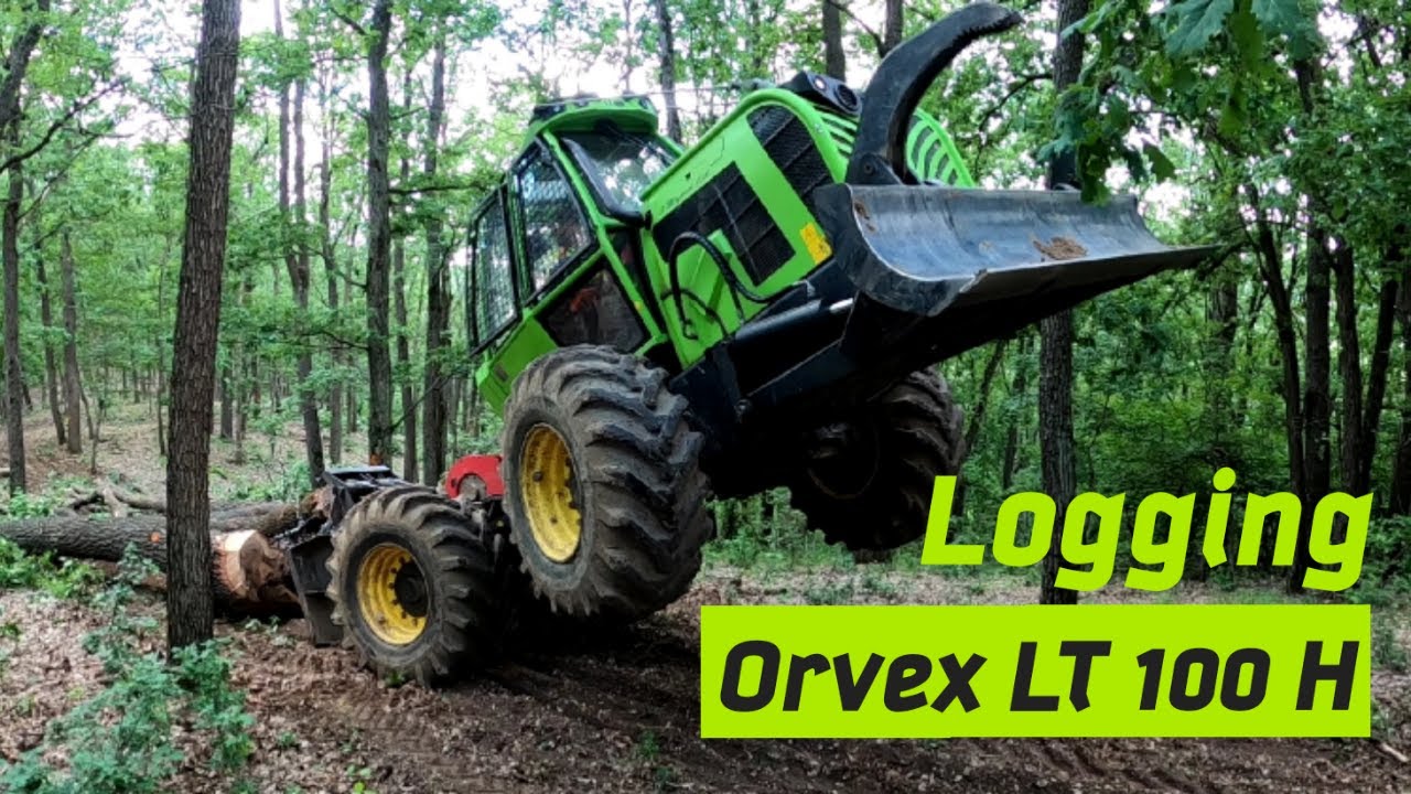 Ťažba dreva s hrebeňa + manipulácia na sklade, Stihl ms 462, Orvex LT100, Amles, Forestwork, Felling