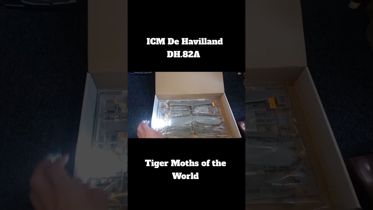 ICM 32019 de Havilland DH.82A Tiger Moths of the World 1:32 Model Kit#scalemodels#icm#modelkit