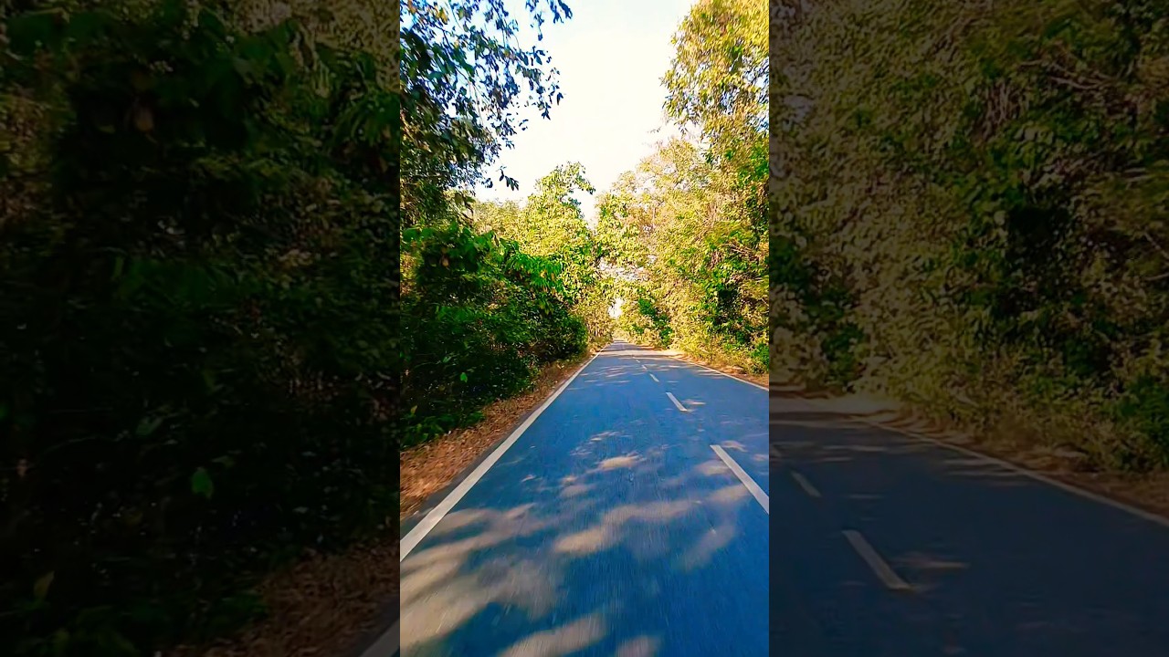 similipal odisha🌲🎄 l 
