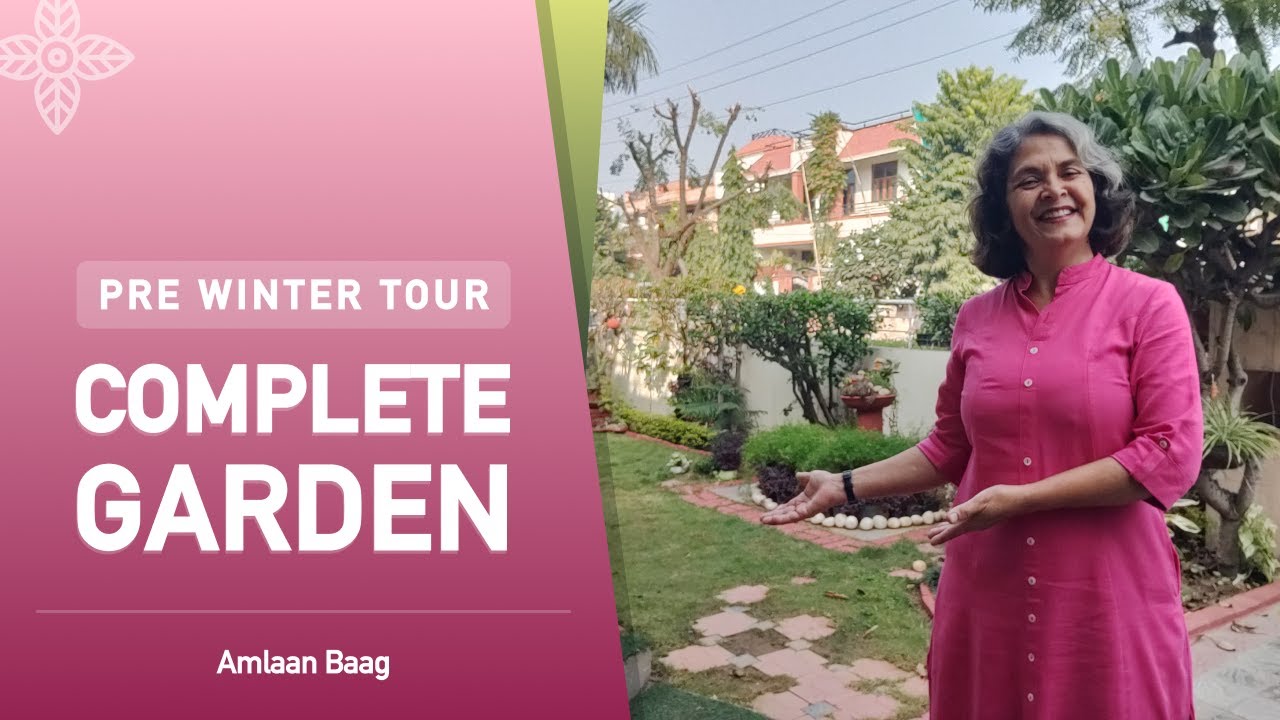 Pre-Winter Garden Tour | सर्दी से पहले नीचे के बगीचे की सैर