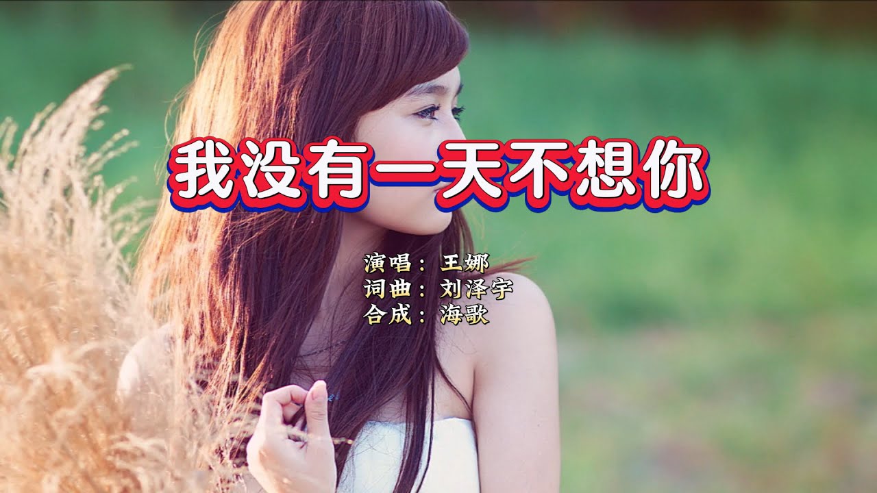 王娜《我没有一天不想你》KTV 导唱字幕 （备有伴奏视频）