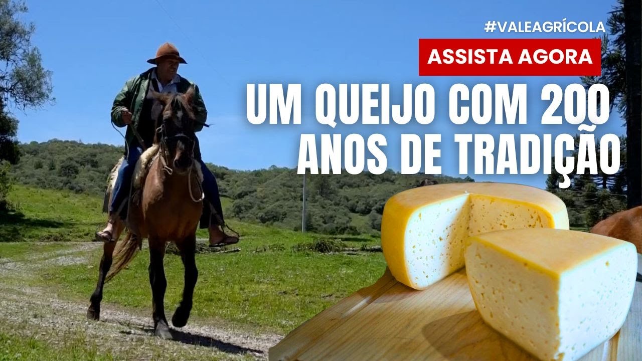 Queijo de Criúva: iguaria que já é produzida há mais de 200 anos em localidade de Caxias do Sul