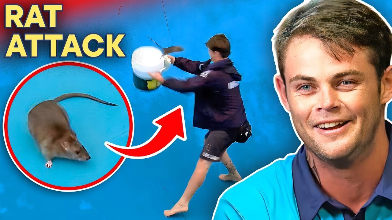 CRAZIEST Animal Rescues On Bondi Beach!