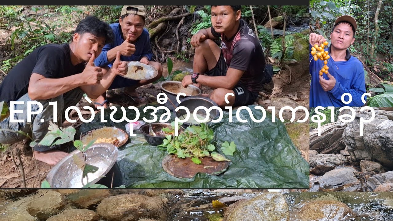 Go 🚶‍♂️ flnd food in the forest လဲၤဃုအီၣ်တၢ်လၢပှၢ်ပူၤ