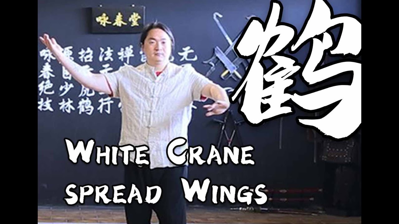 Tai Chi 24 Section Application Exercise - Section 3 : White Crane spreads Wings 白鹤亮翅