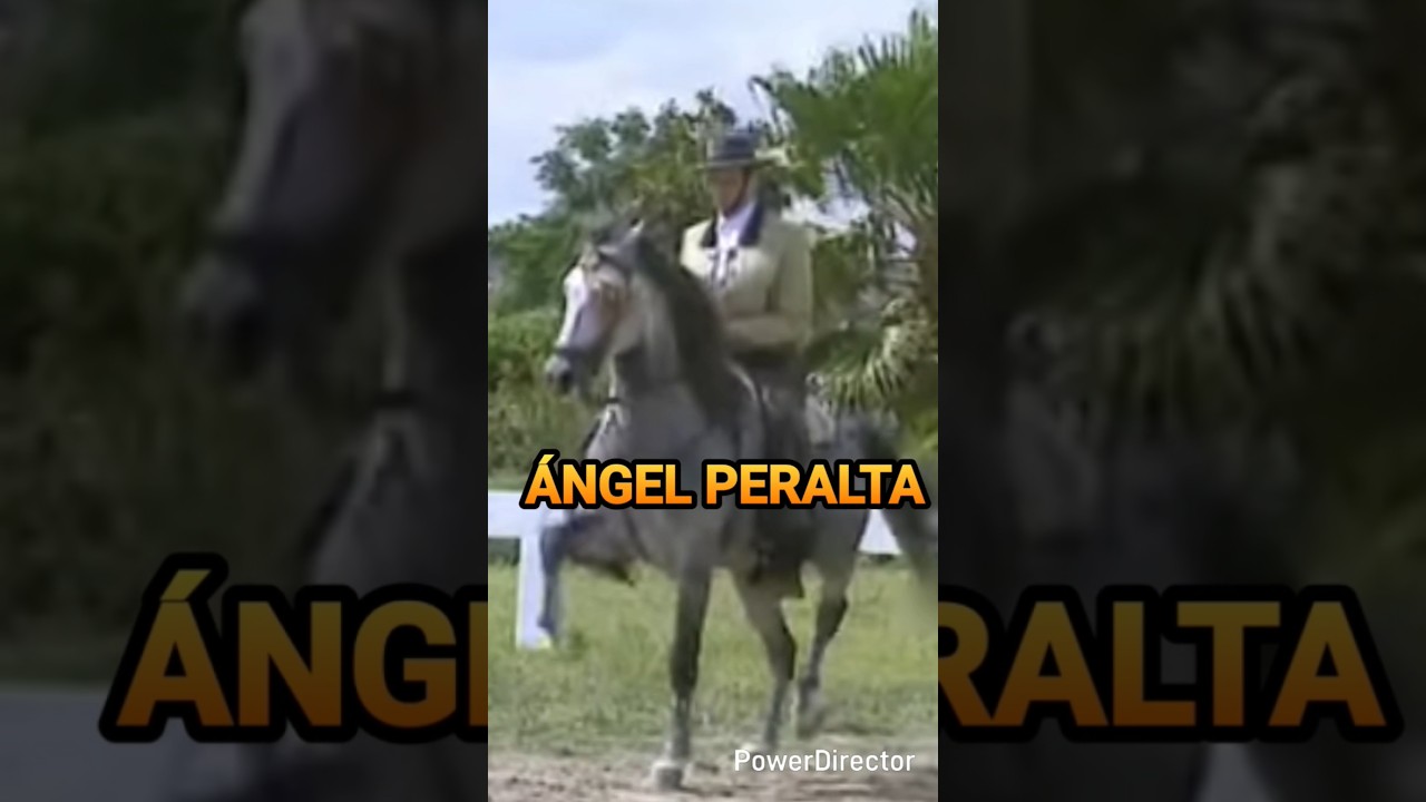 CABALLO ANDALUZ REJONEO &Aacute;NGEL PERALTA 15-07-2025