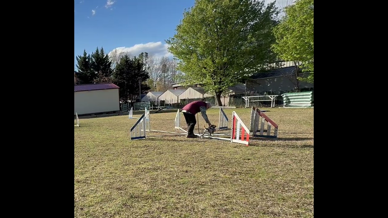 Proprioception - pie grid