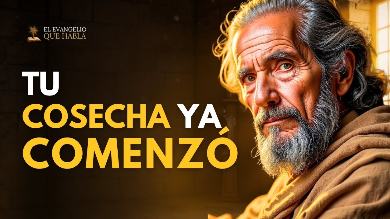 Permaneciste Cuando Era Más Fácil Rendirse — Ahora Dios Va a Honrar Tu Siembra