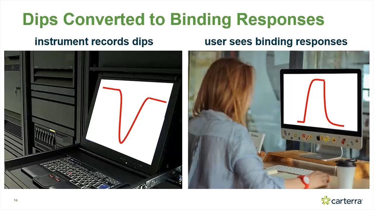 Surface Plasmon Resonance (SPR) Essentials & Principles of High Throughput Kinetic Analysis