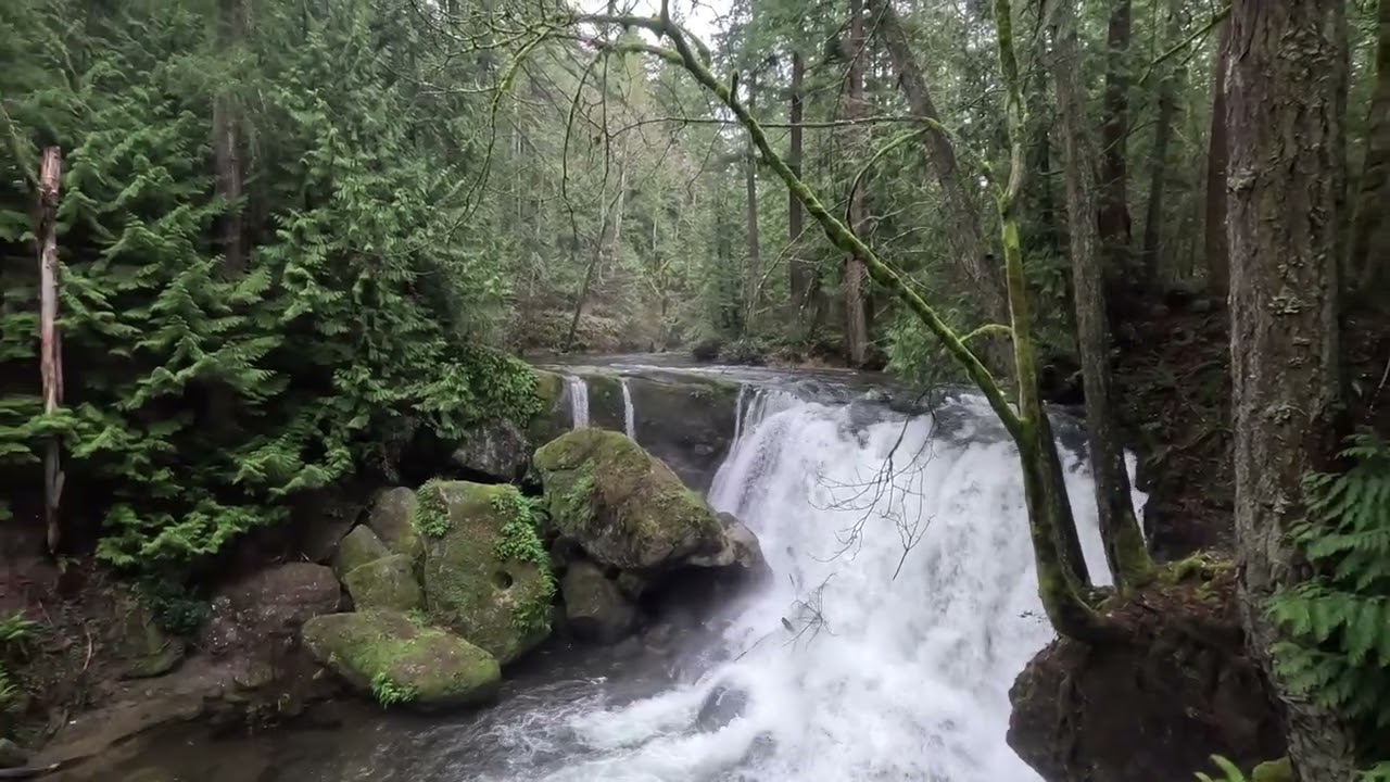 Whatcom Falls Park!! Bellingham, Washington.