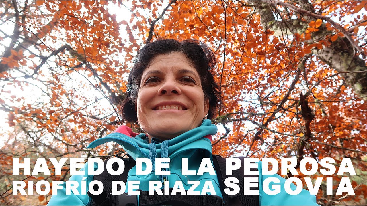 Ruta en el Hayedo de la Pedrosa noviembre 2024 por Deya La Exploradora