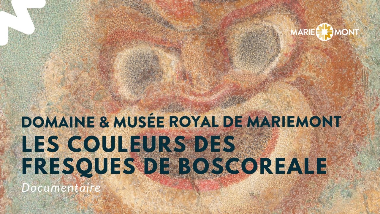 COLLECTIONS &bull; Les fresques de Boscoreale - analyse micro-chimique