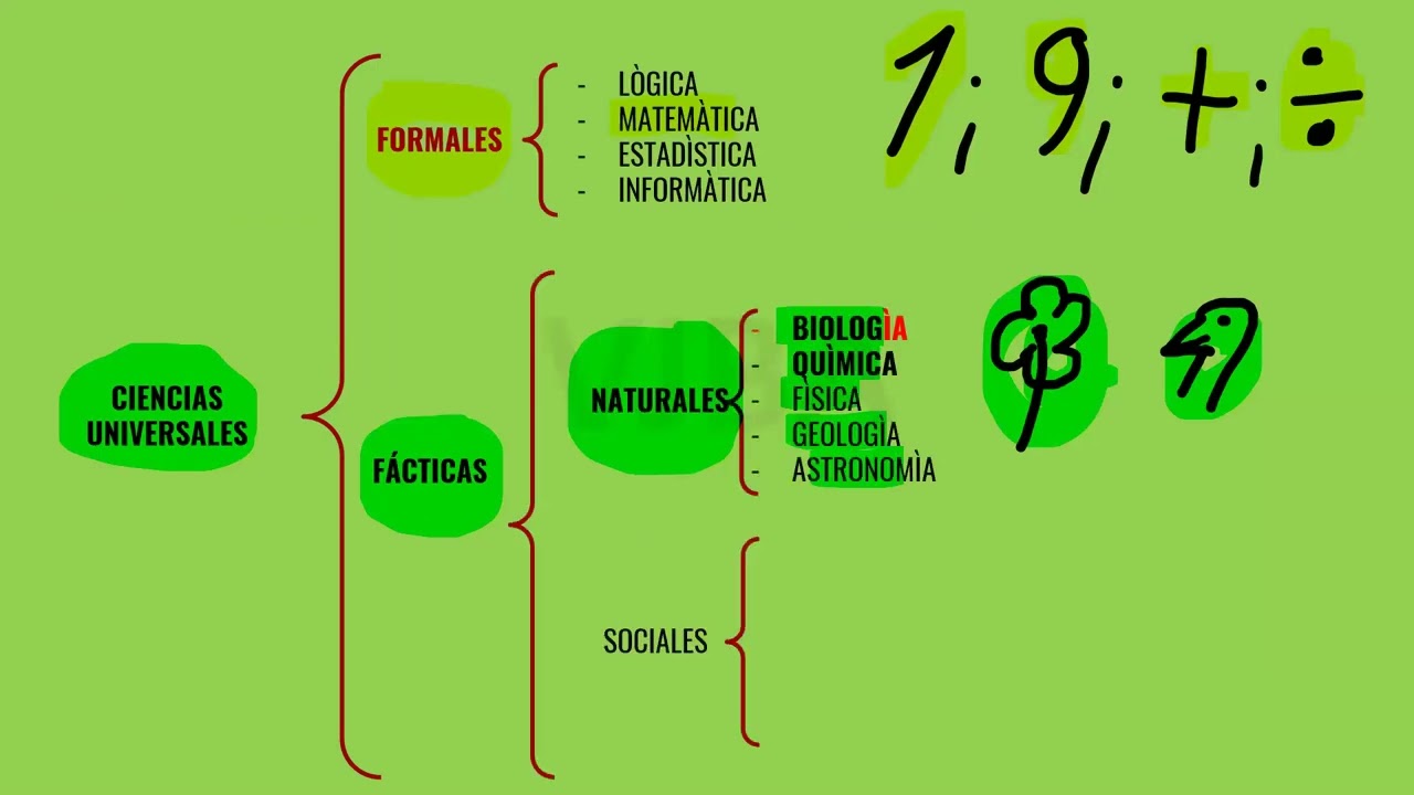 1º SEM VACACIONAL T1 CYA PRIM II   LA CÈLULA