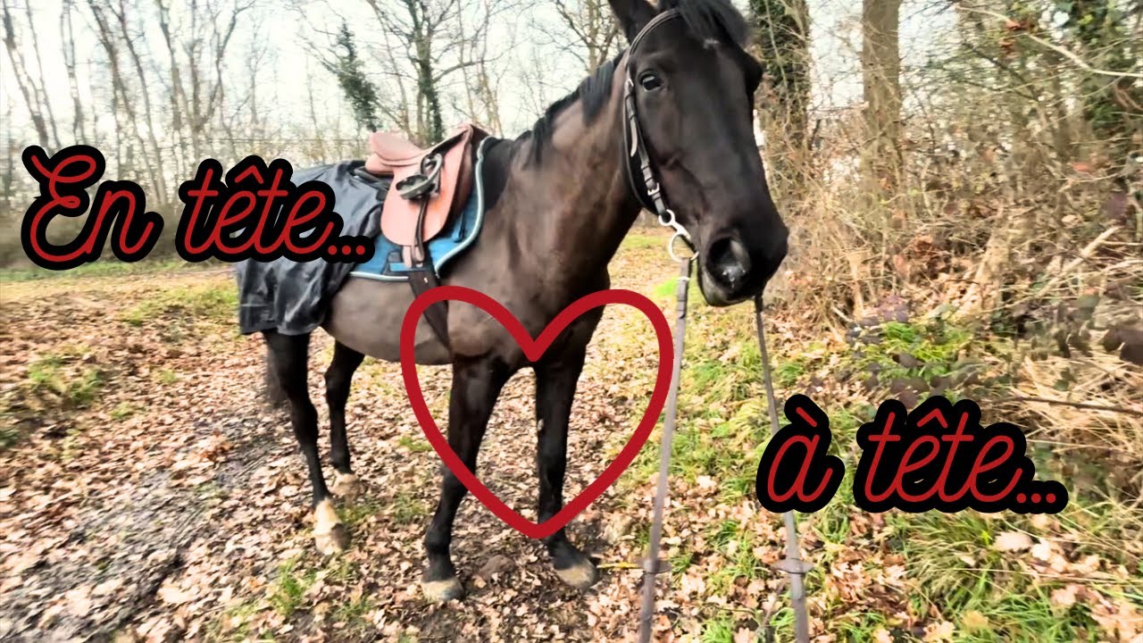 VLOG - Ma bulle avec elle 🐴