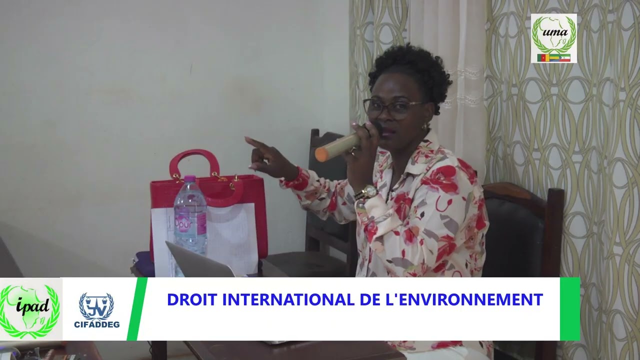 CARRIERES INTERNATIONALES ET DIPLOMATIQUES
