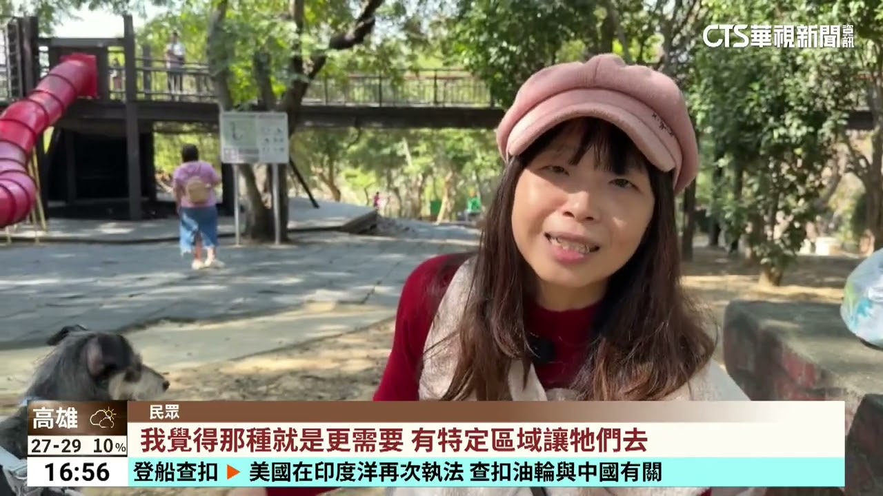 兒童公園男帶猛犬溜滑梯　民眾憂孩童遭咬｜華視台語新聞 2026.02.25