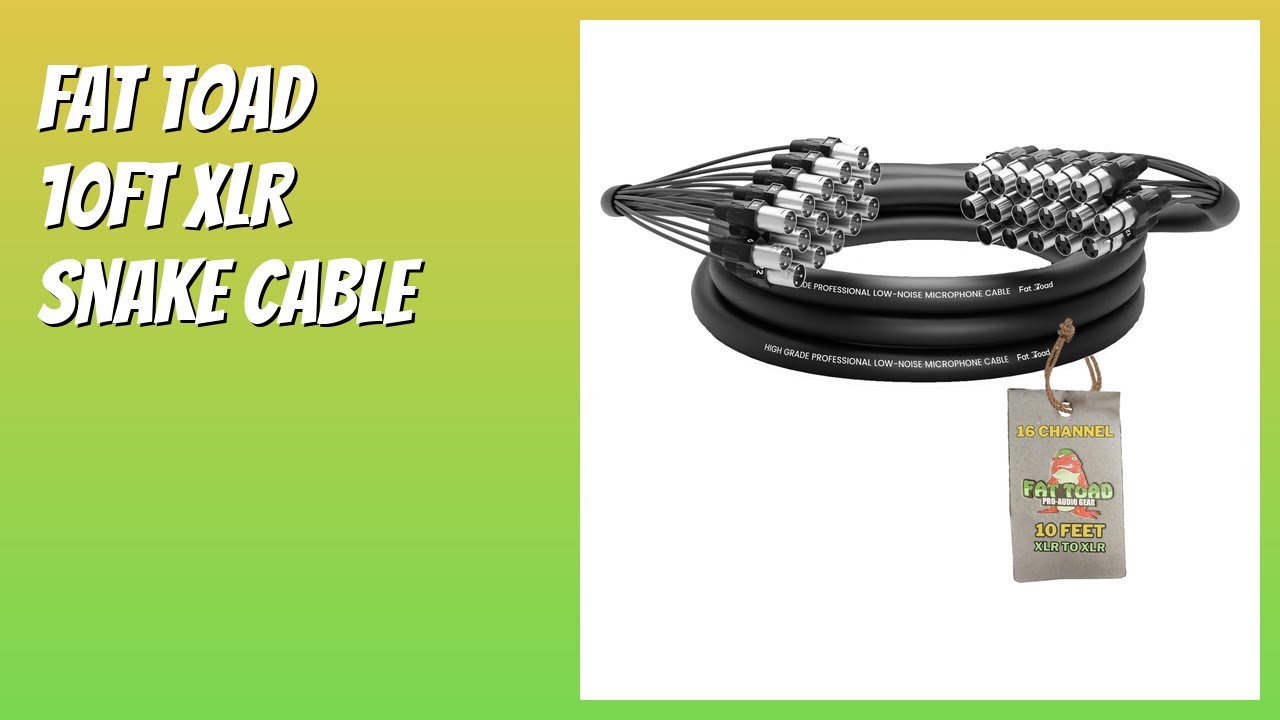 REVIEW (2026): Fat Toad 10ft XLR Snake Cable. Features