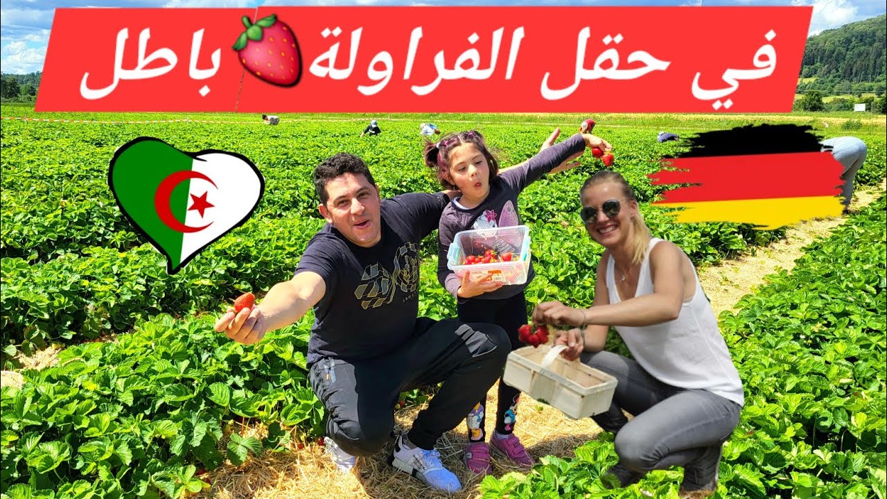 جنة الأرض مع سكان الريف🏡الألمان الفلاحين🇩🇪كل شيء بلاش🍓الكتكوته و العائلة الصغير♥️ 🇩🇿