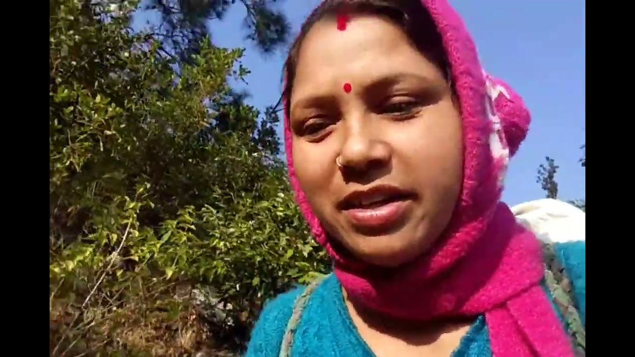 हम गये आज डंगया वाले खेतों में झाड़ियां काटने।। सुषमा राणा ब्लॉग।। पहाड़ी लाइफस्टाइल।।