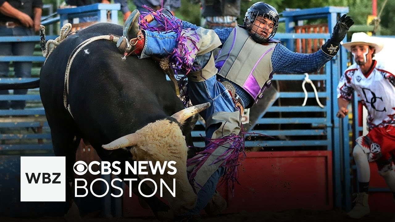 Looking for a rodeo in Massachusetts? There's one in Rochester.