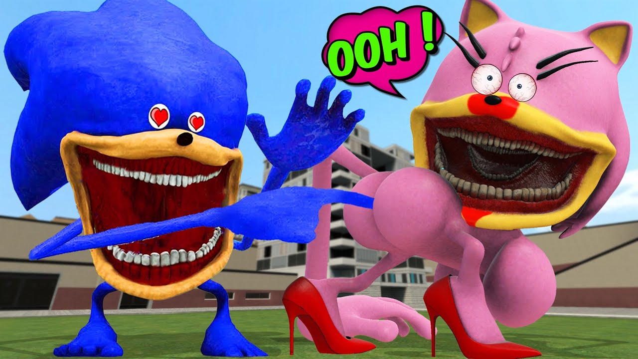 WHAT HAPPENS WHEN SHIN SONIC TAPES TROLL SHIN SONIC LOVE AMY XXL TAPES IN GARRYS MOD!
