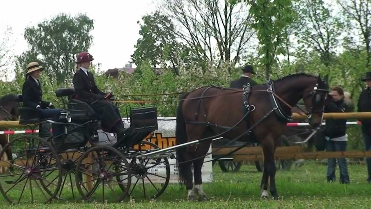 20120506  Dressurfahr-WB E-Einspänner Fahrertag Oberdorf