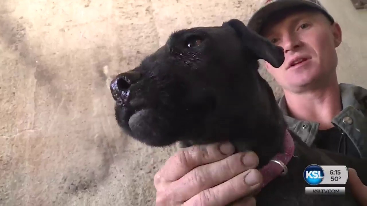 Up Close: The Mink Man